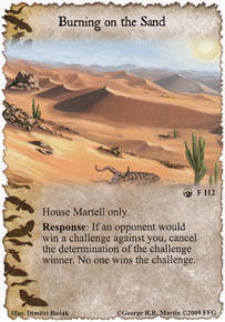 Burning on the Sand