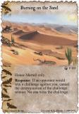 Burning on the Sand