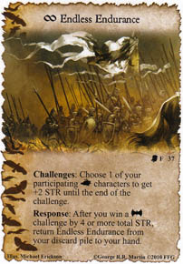 Endless Endurance