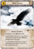 Black Raven
