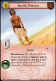 Ascetic Follower