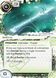 Ankusa