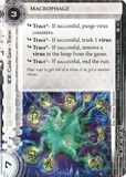 Macrophage