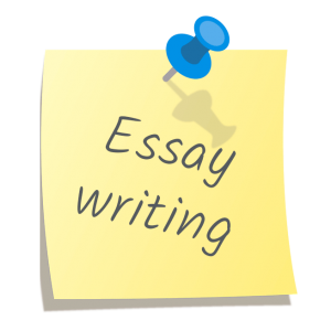 professional essay writing service