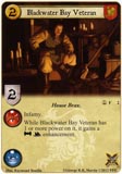 Blackwater Bay Veteran
