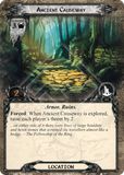 Ancient Causeway