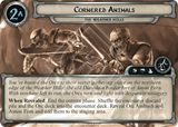 Cornered Animals