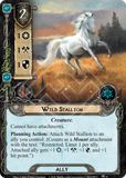 Wild Stallion