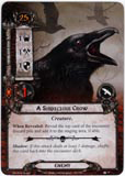 A Suspicious Crow