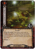 The Lights of the Dead