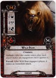 Wild Bear