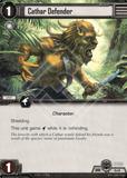 Cathar Defender