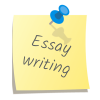 professional essay writing service