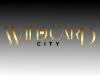 How to Maximise Your Bonuses at Wild Card City Casino