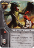 Juvenile Wyvern